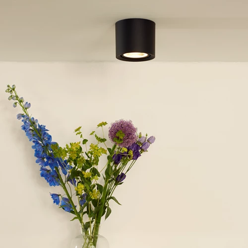 Lucide FEDLER - Plafondspot - Ø 12 cm - LED Dim to warm - GU10 (ES111) - 1x12W 2200K/3000K - Zwart - sfeer 1